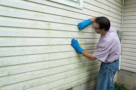 Best Vinyl Siding Installation  in La Presa, CA